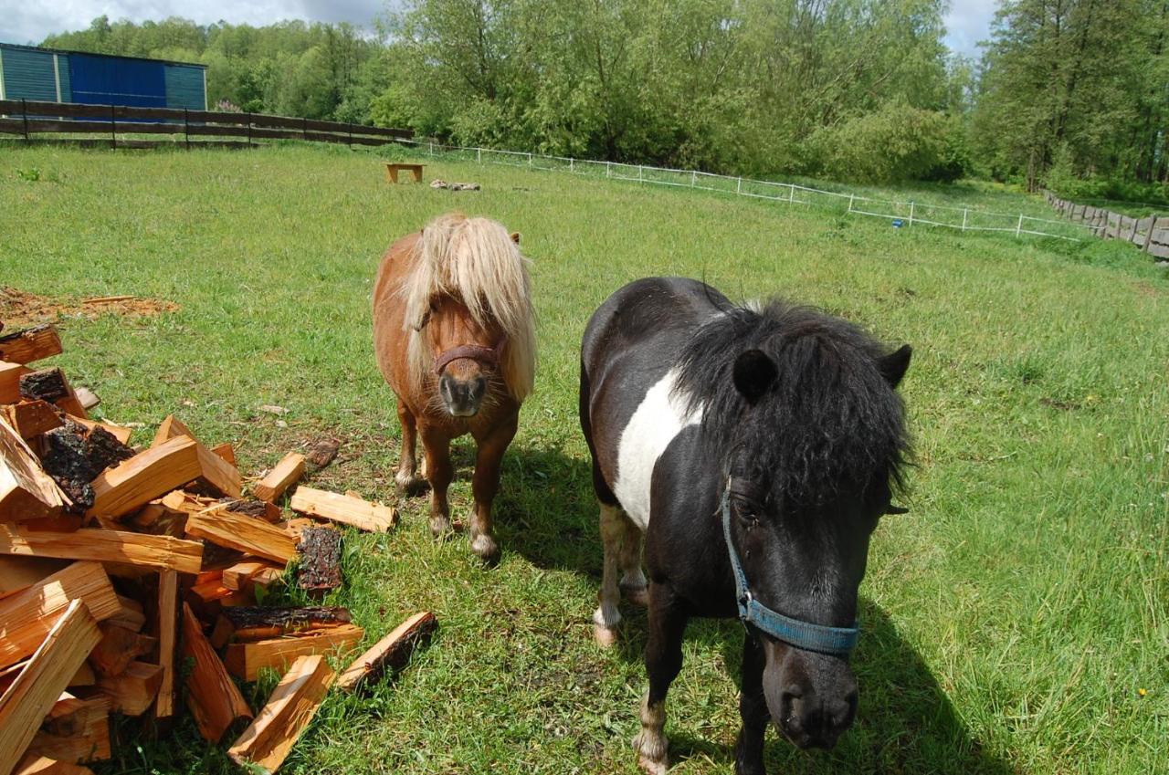 Biebrzanska Zagroda Dolistowo Stare Bagian luar foto